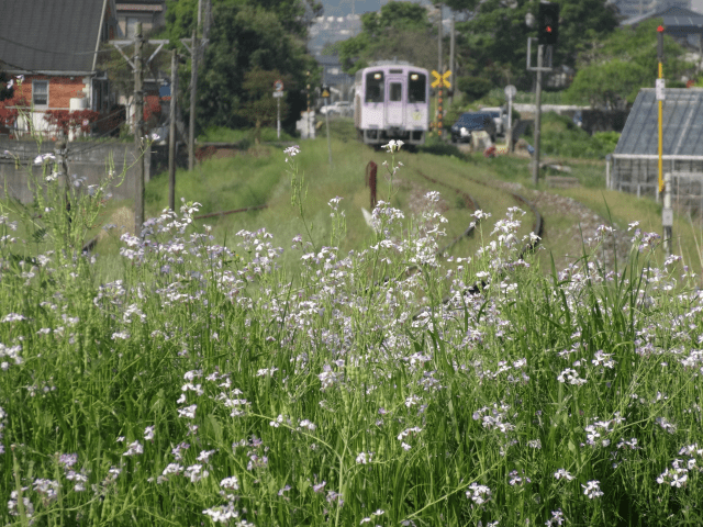 田川線